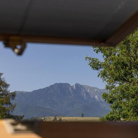 Apartamenty U Anusia Закопане Екстер'єр фото